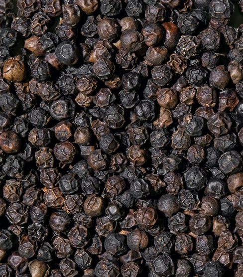 Poivre noir en grain du Sri Lanka BIO