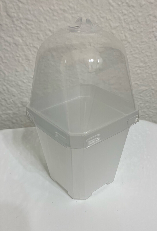 Clear 2.75 Inch Easy Care Pot Utric/drosera Mix