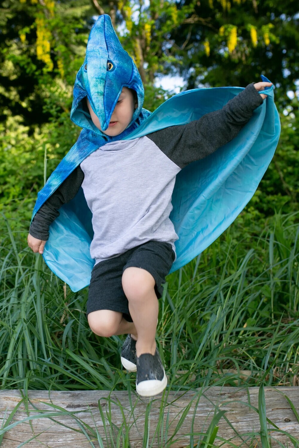 Pterodactyl Hooded Cape- Blue 4/5
