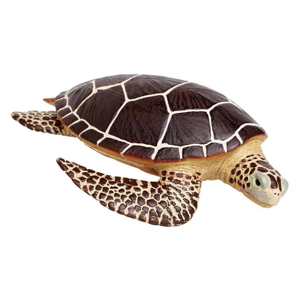 SL Sea Turtle