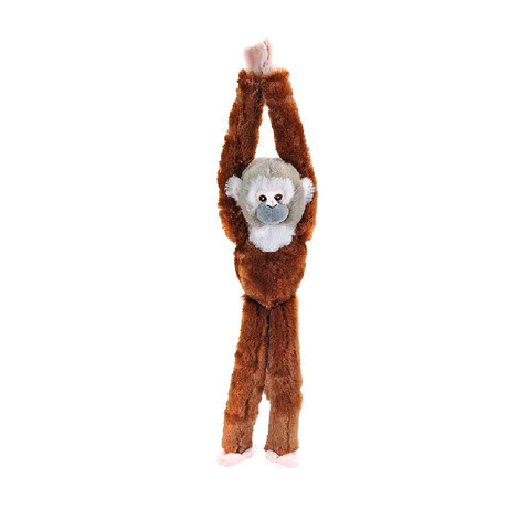 Hanging  Squirrel Monkey