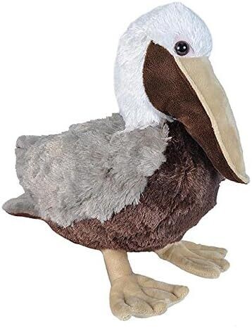CK Pelican