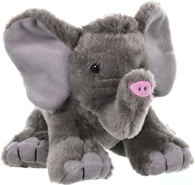 CK African Elephant Baby