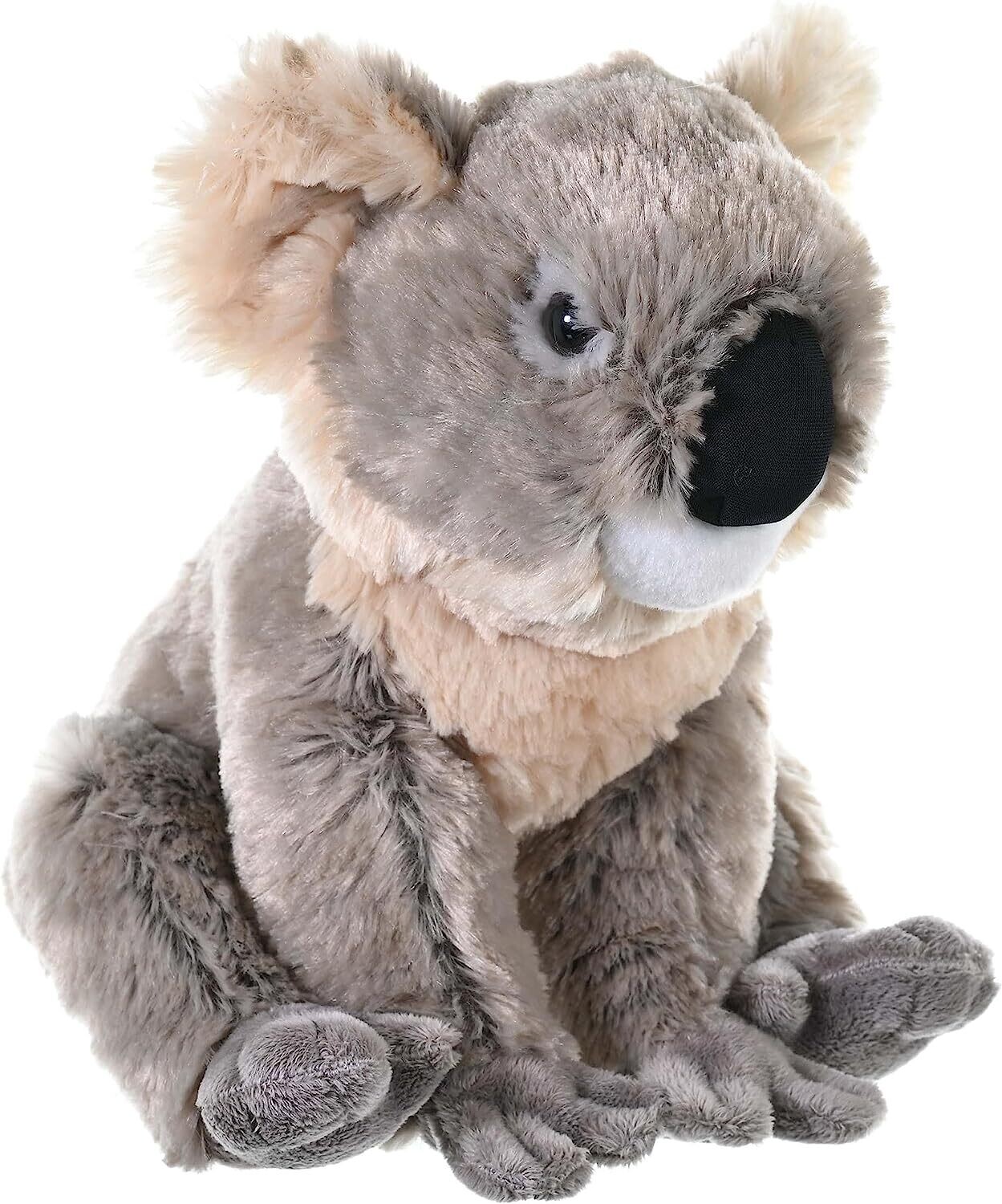CK Koala