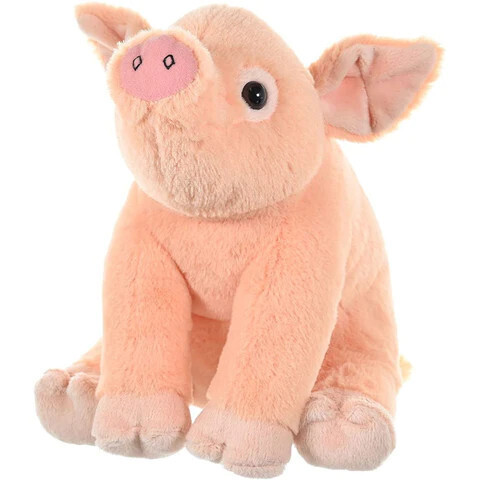 CK Pig Baby