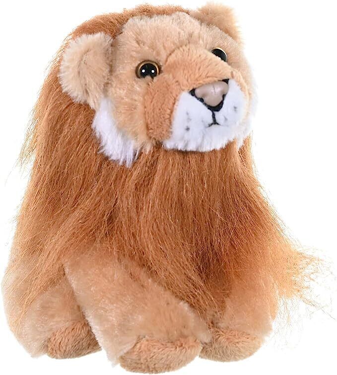 CK Mini Lion
