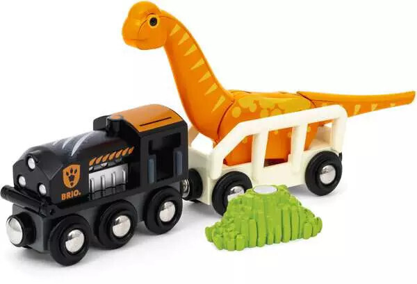 Dinosaur Circle Set