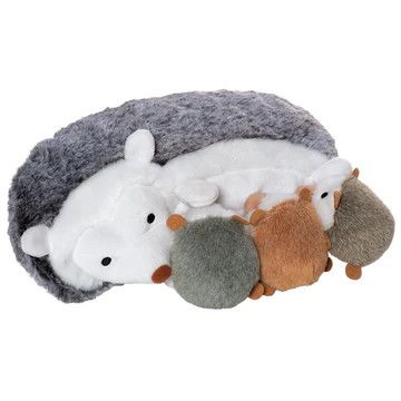 MT Nursing Nissa Hedghog
