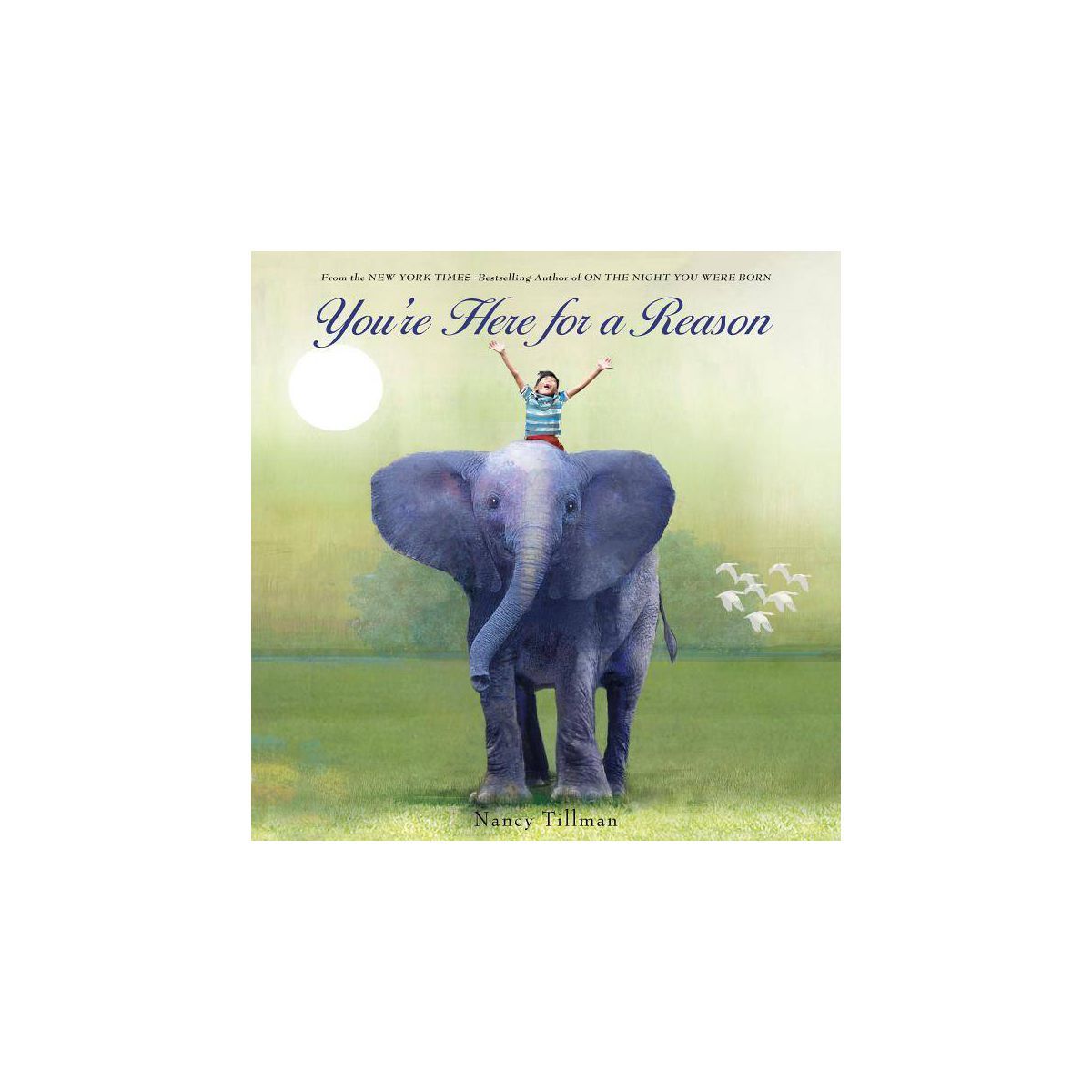 You&#39;re Here For A Reason Board Book