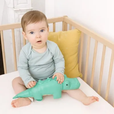 Baby Toys