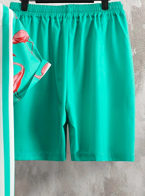 Conjunto flamingo hombre verde acua