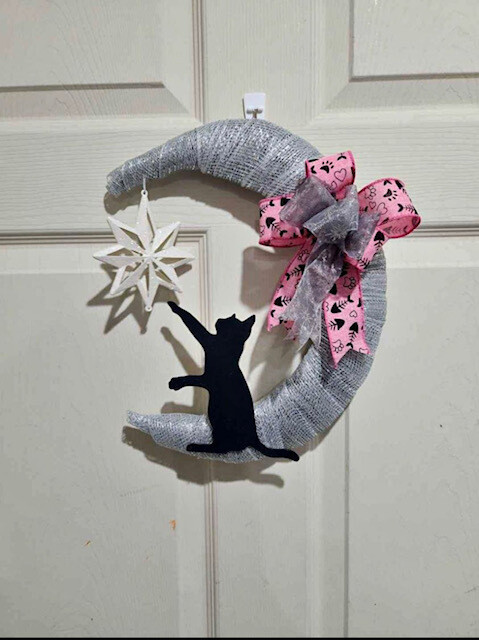 Cat Jumped over the Moon