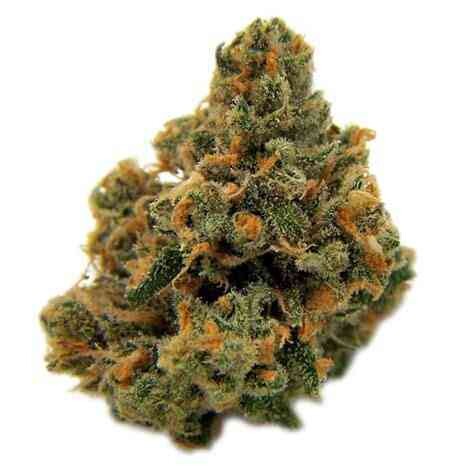 Sour Diesel