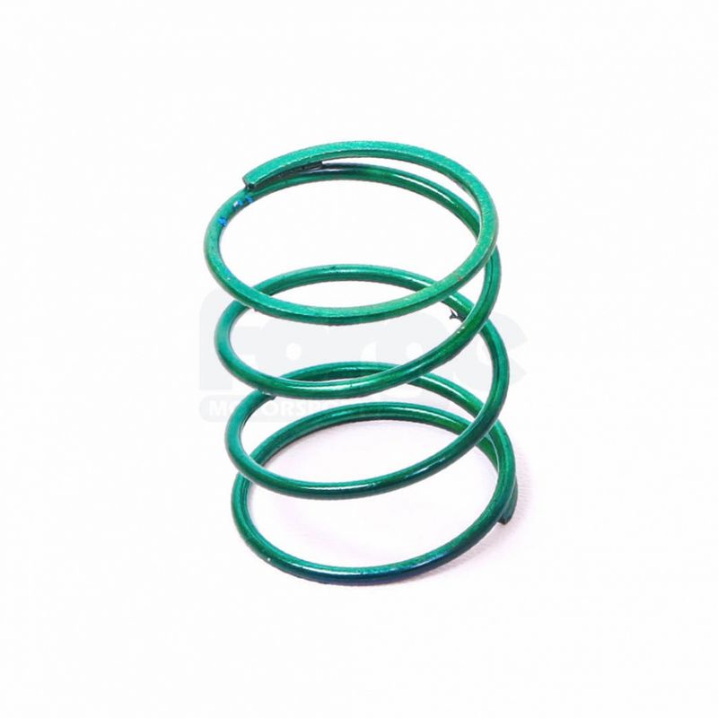 Dump Valve Spring (Single)