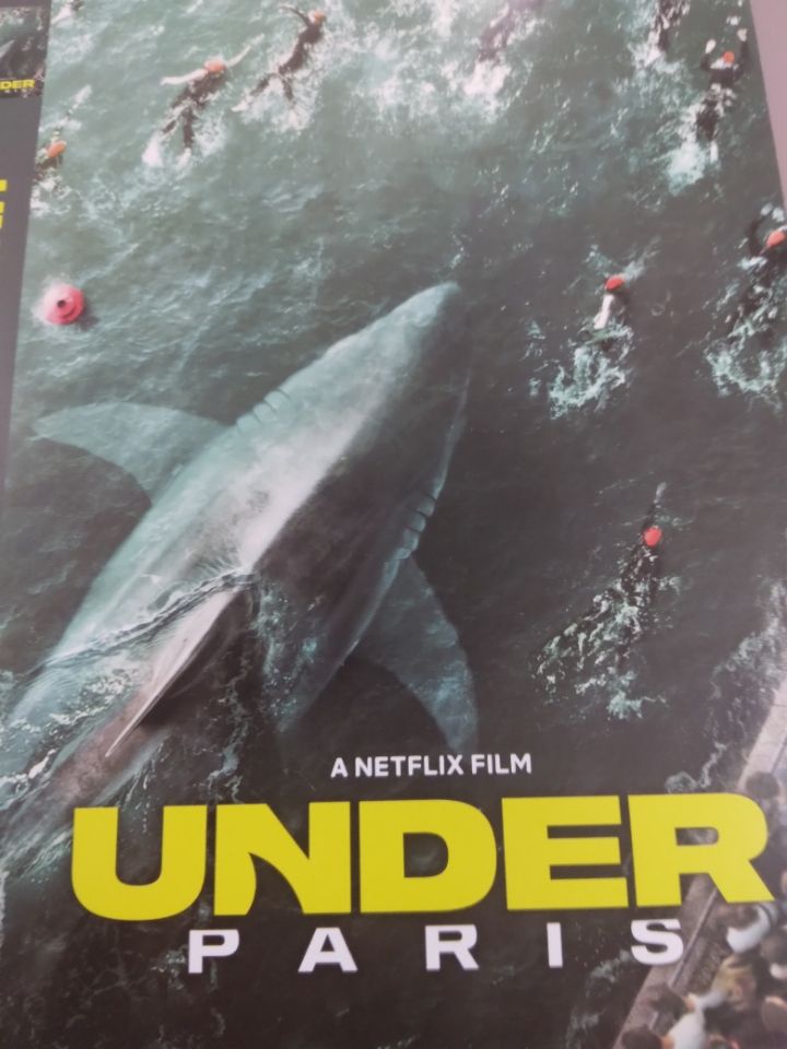 under the sea dvd