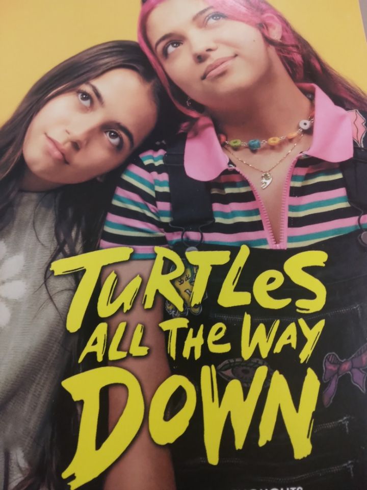 turtles all the way down dvd