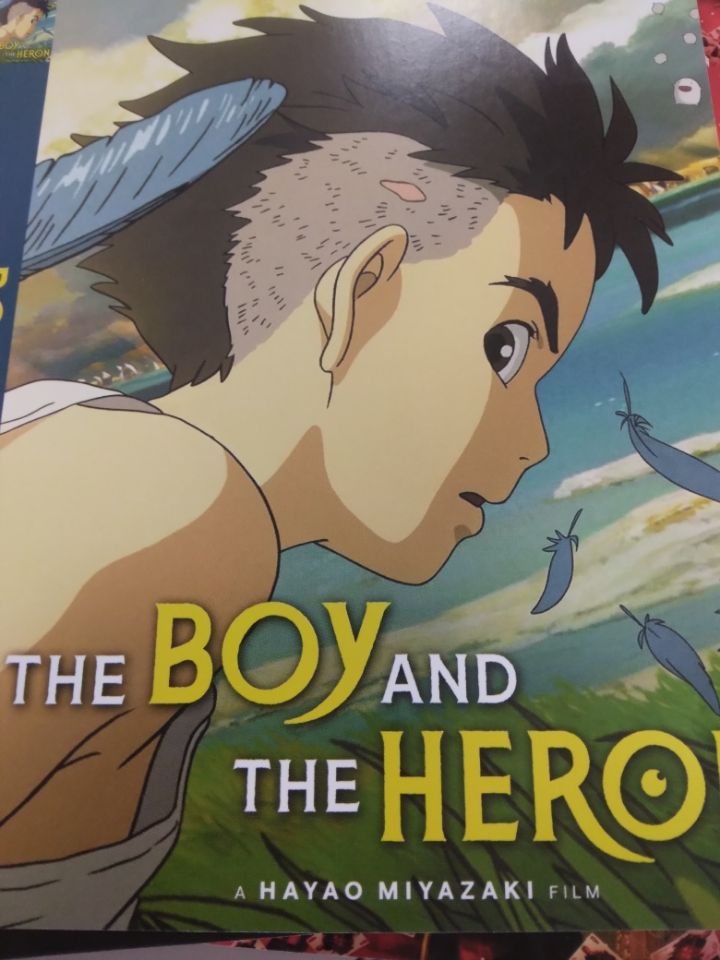 boy and the heron dvd