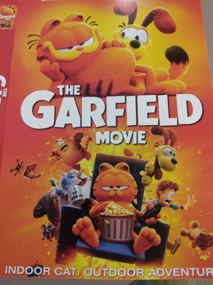 the garfield movie dvd