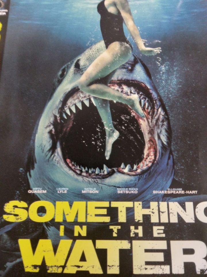 something in the water dvd