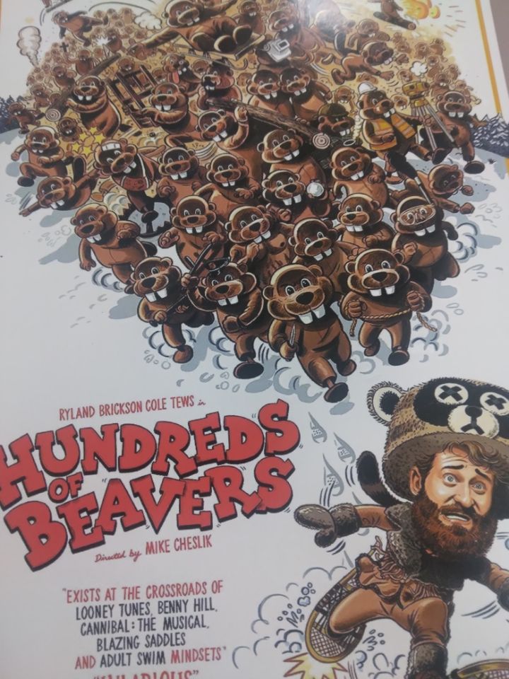 hundreds of beavers dvd