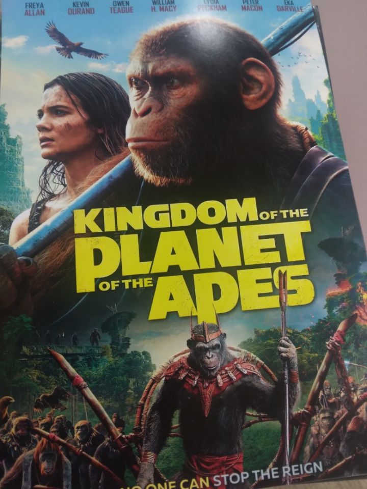 kingdom of the planet of the apes dvd