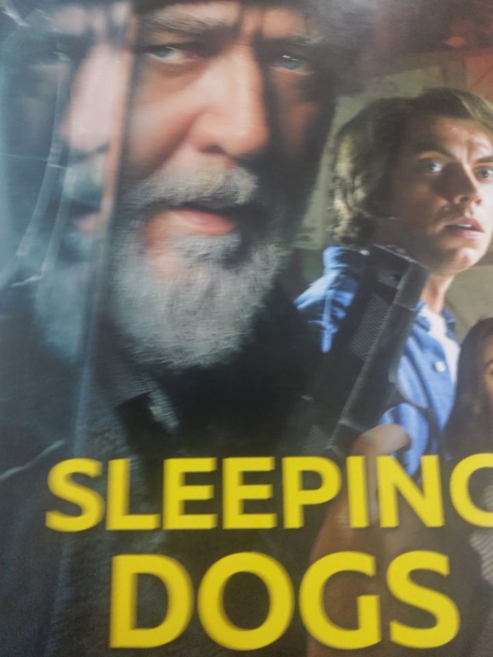 sleeping dogs dvd