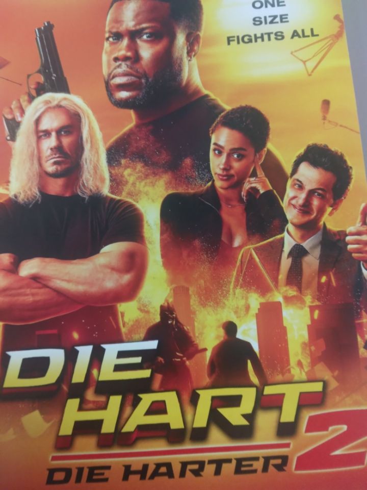 die hart die harder 2 dvd