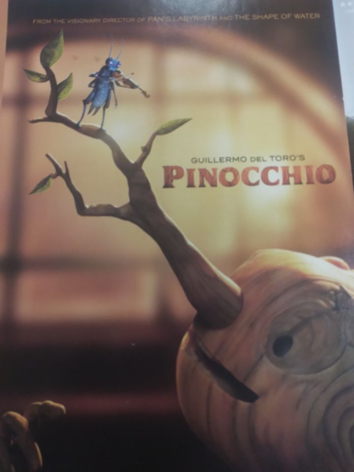 pinocchio dvd