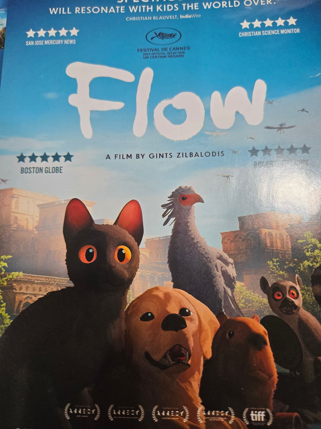 Flow dvd