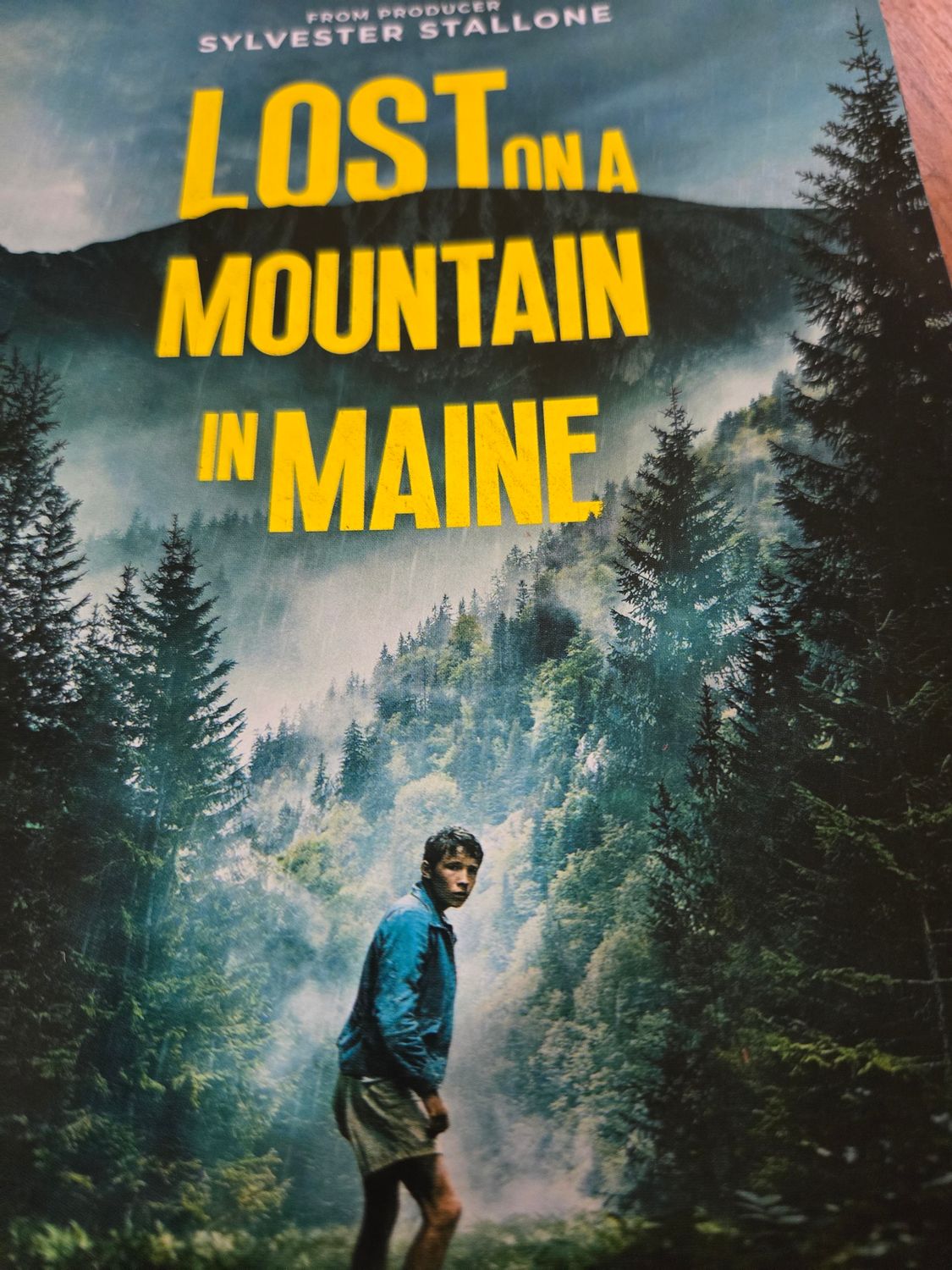 Lost on a mountain in maine.