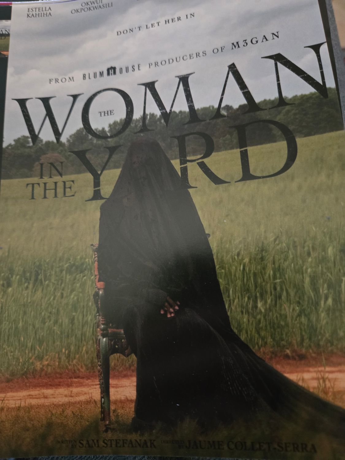 Woman in the yard dvd