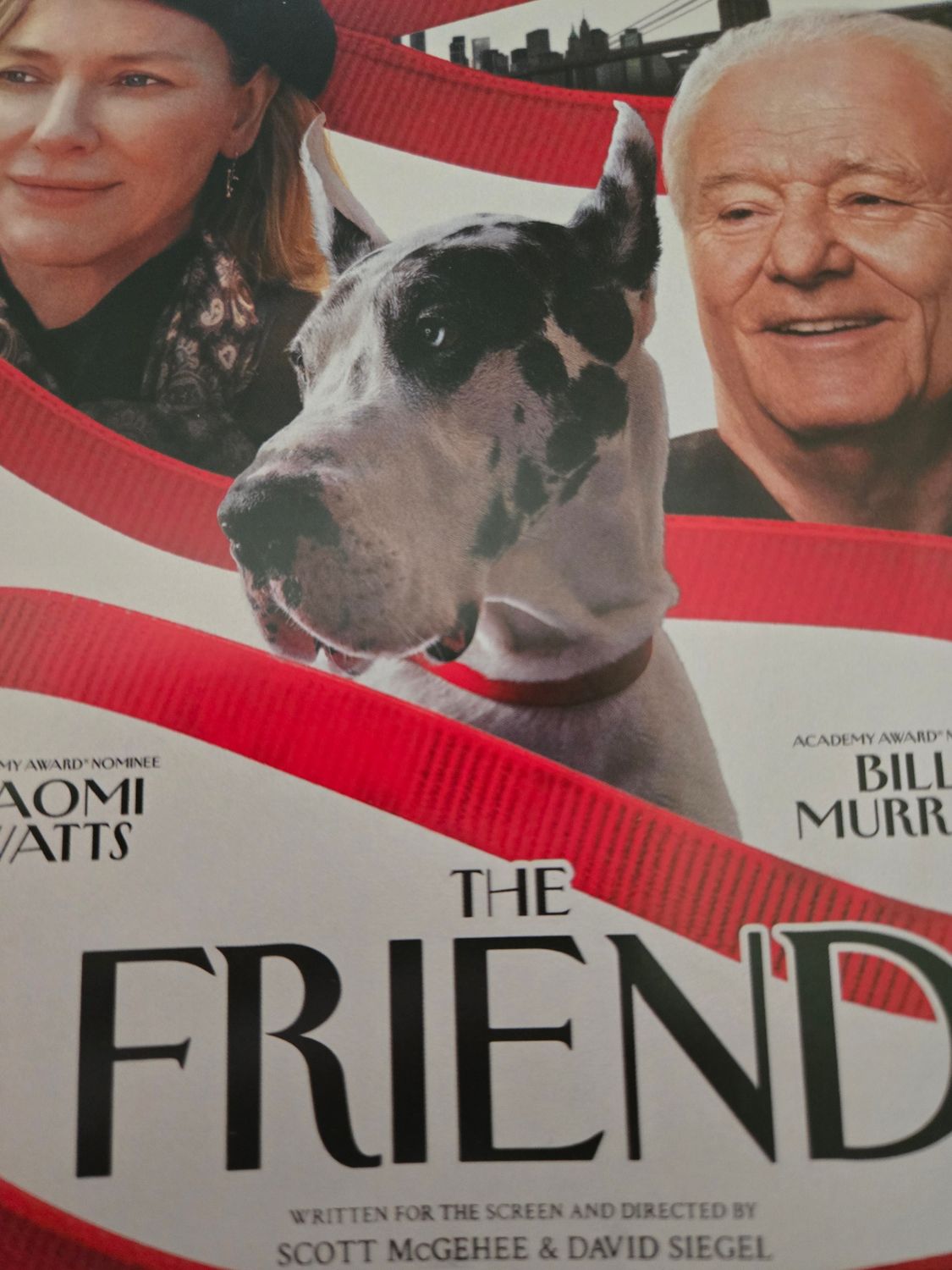 Friend dvd