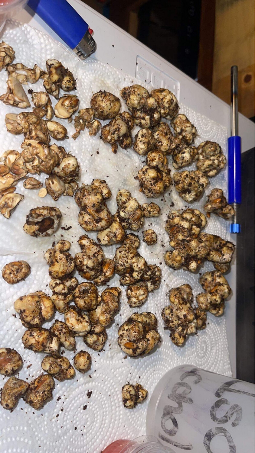 Nirvana (Truffle) Research Syringe