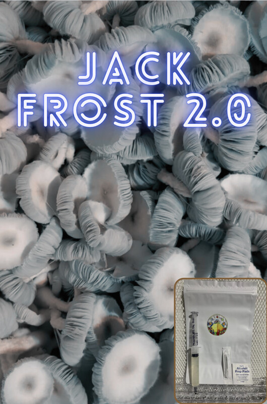 Jack Frost 2.0 Research Syringe