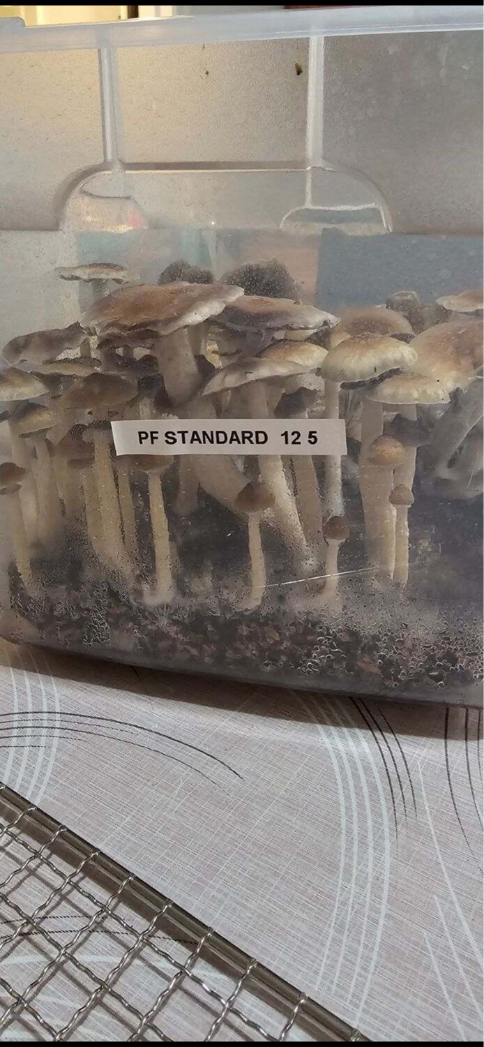 PF Standard Research Syringe