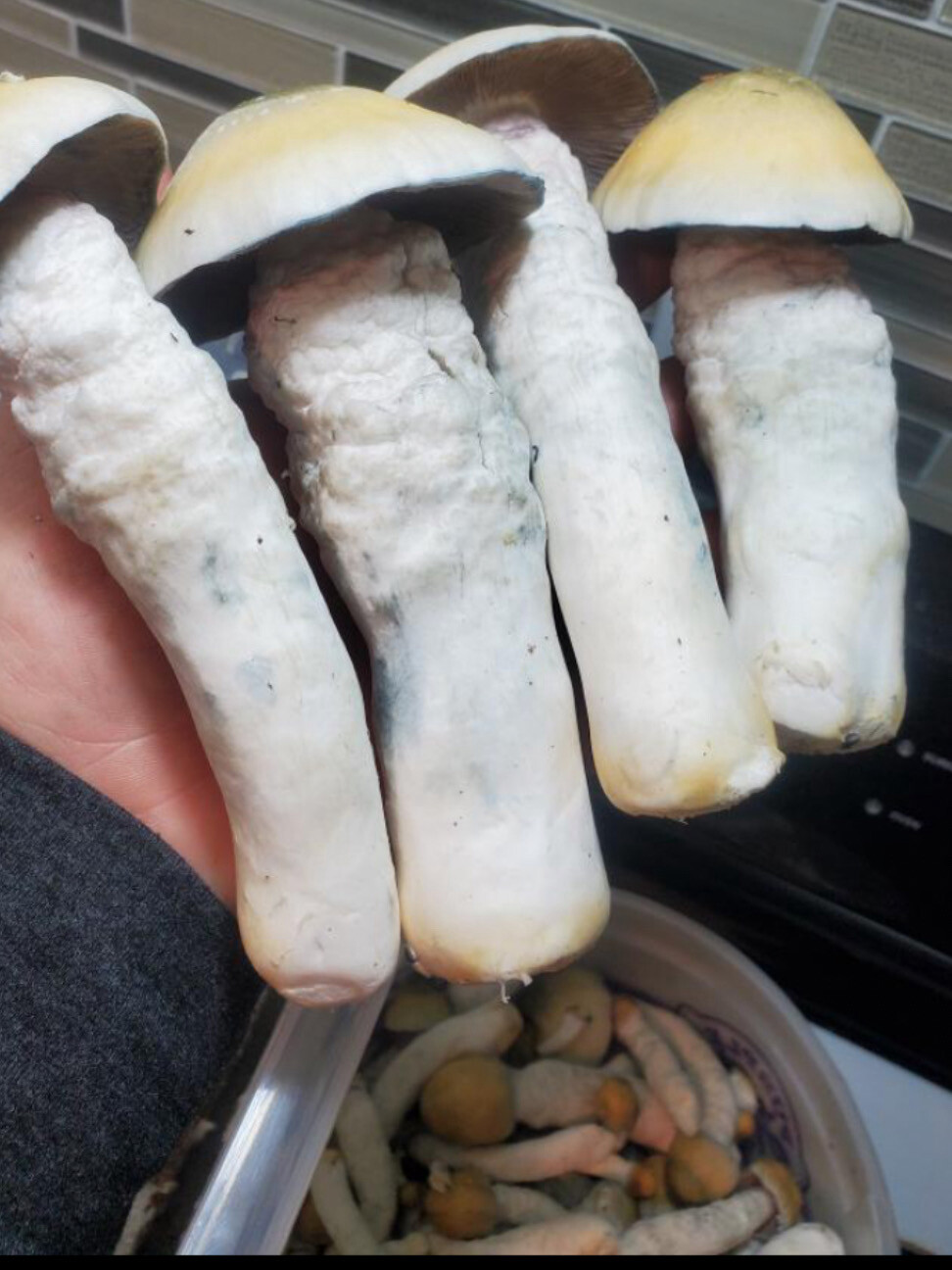 Emerald Gates Research Syringe