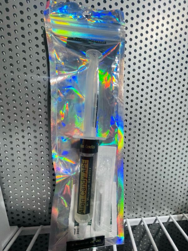 Alien Candy A.P.E. “ACAPE”Research Syringe Alien Candy A.P.E. “ACAPE”Research Syringe