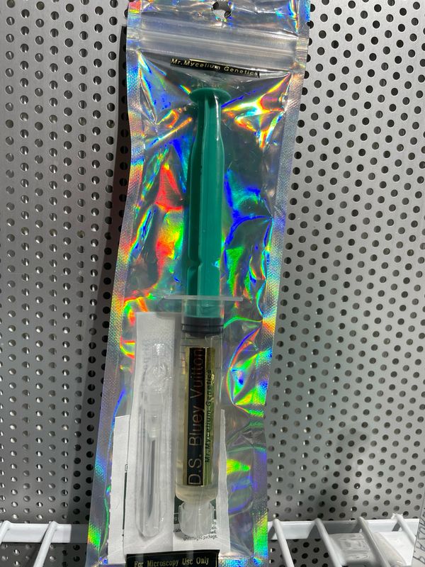 DS Bluey Vuitton “DS BVI” Research Syringe