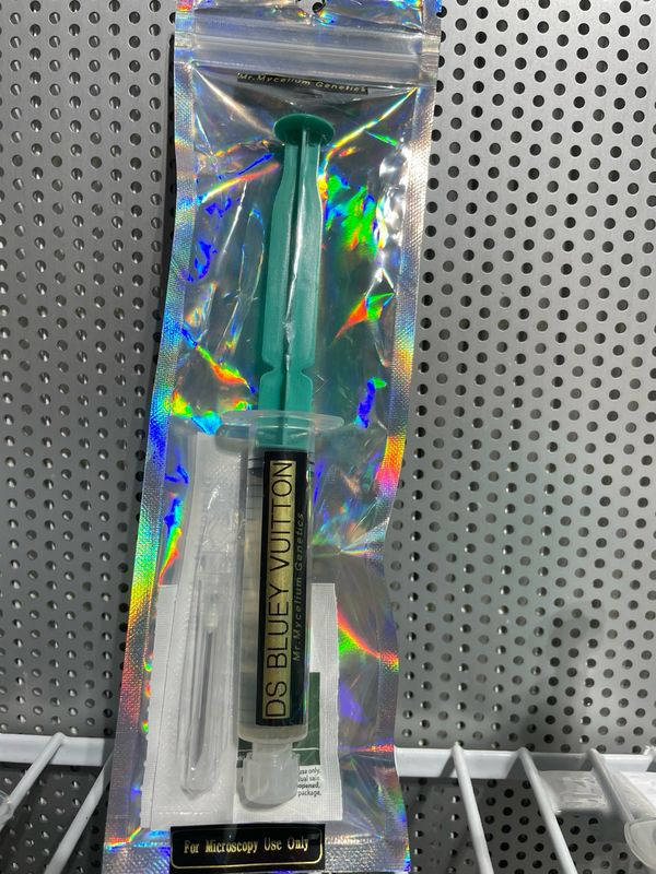 DS Bluey Vuitton “DS BVI” Research Syringe