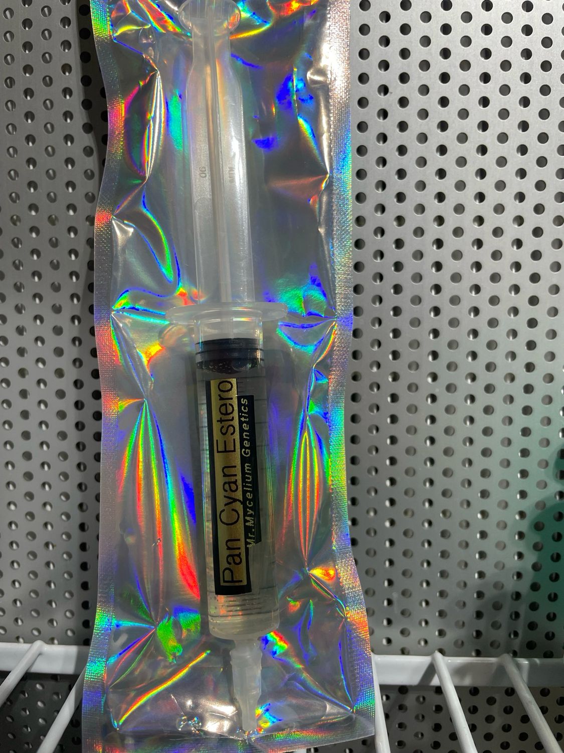 Koh Samui Squats (KSS) Research Syringe