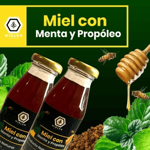 Miel de abejas con menta y propóleo