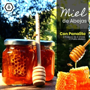 2 frascos miel con panal 4 onzas + 1 mielero de 6"