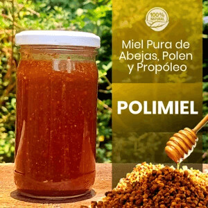 Polimiel