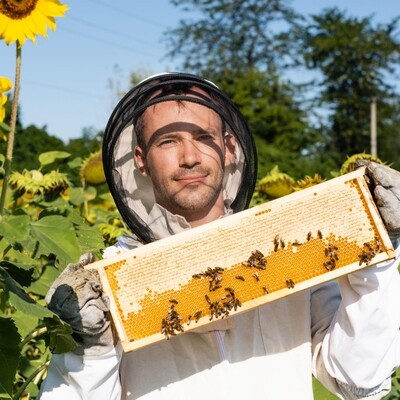 MUNDO ABEJA