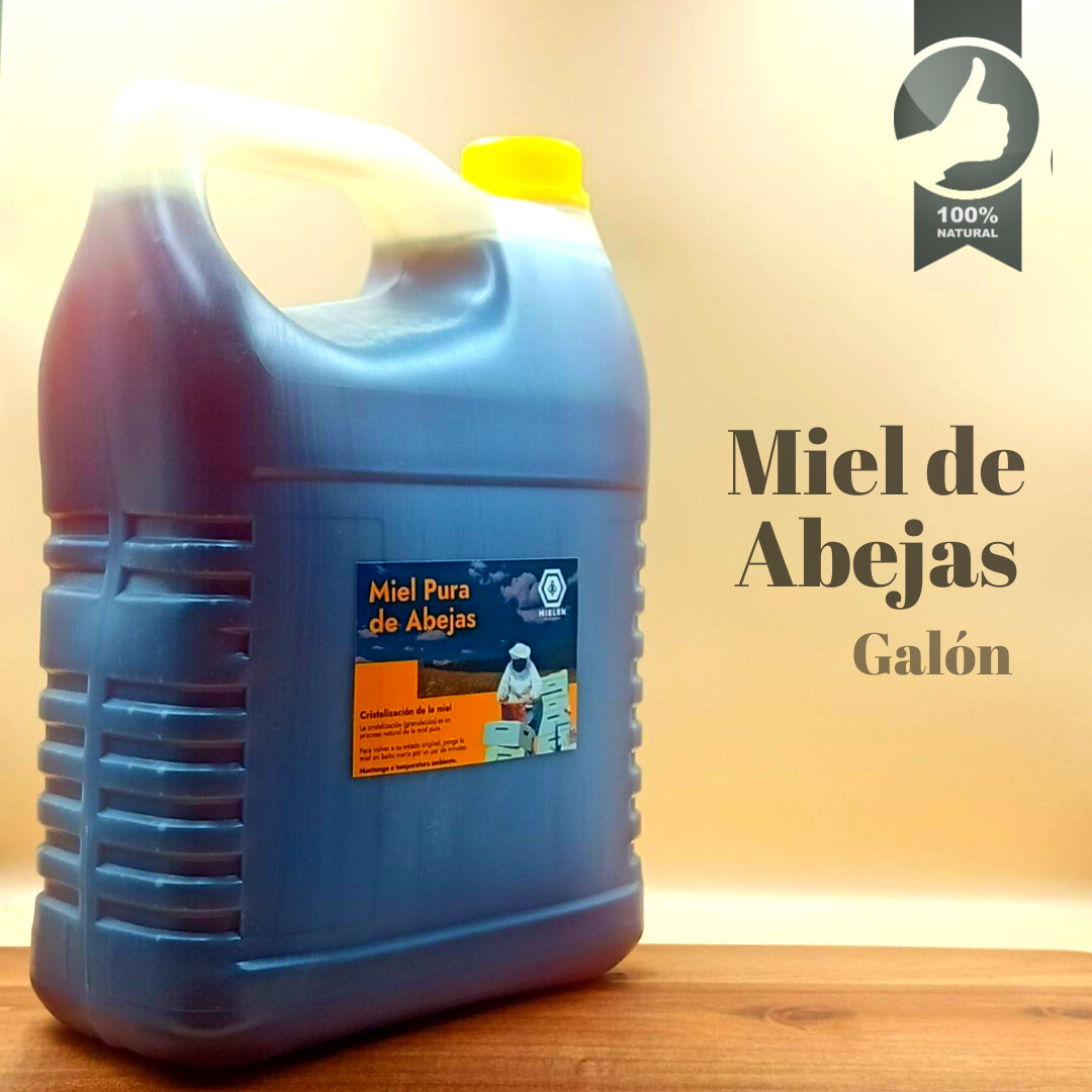 Miel de abejas galón