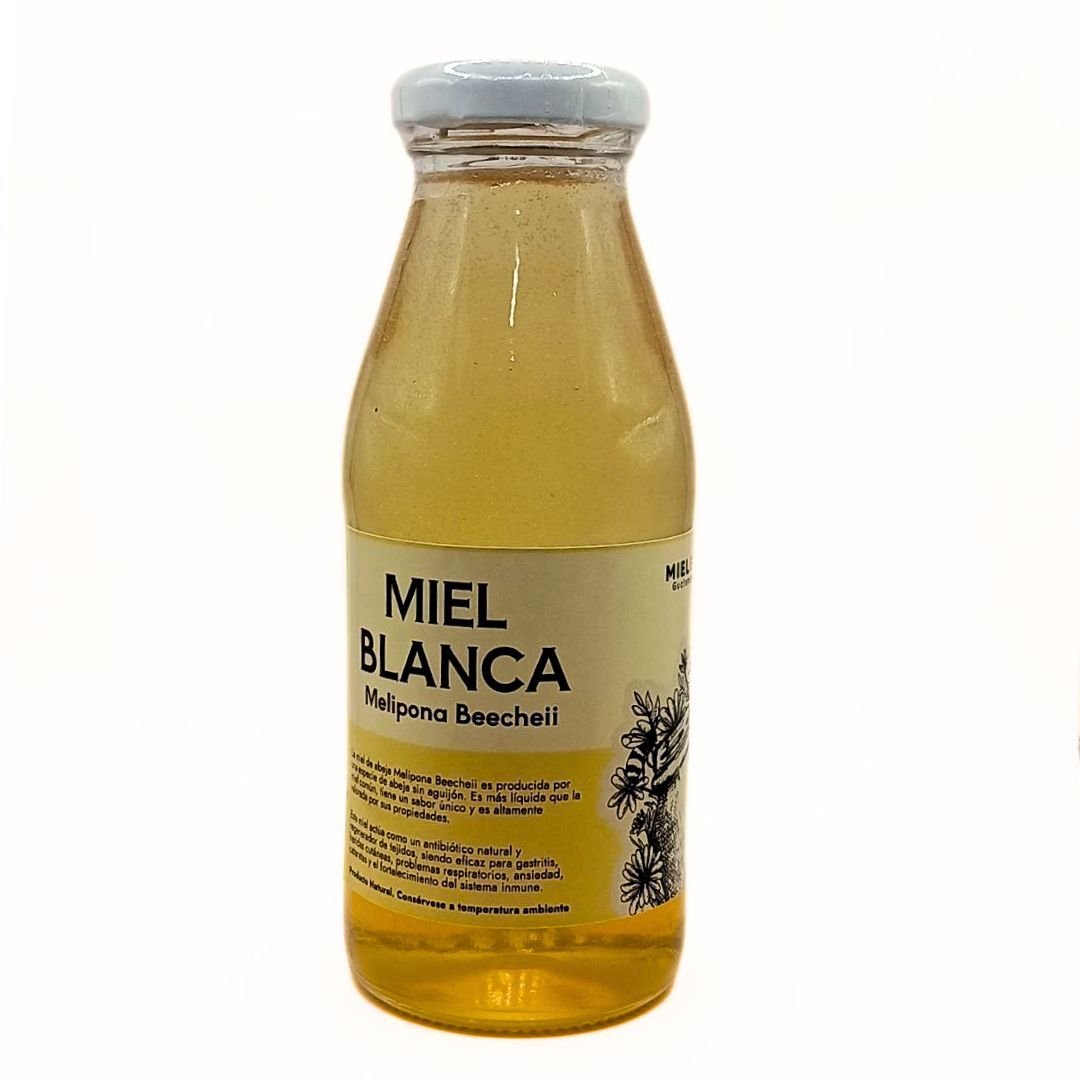 Miel blanca (Melipona Beecheii) 250 ml