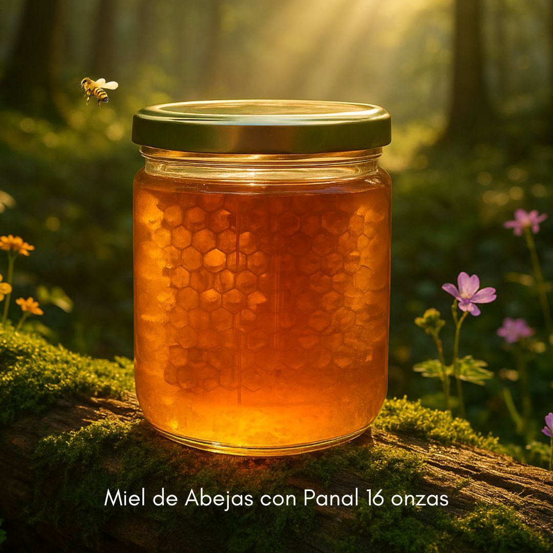 Miel Pura con Panal Adentro - La Experiencia de la Colmena (16 oz)