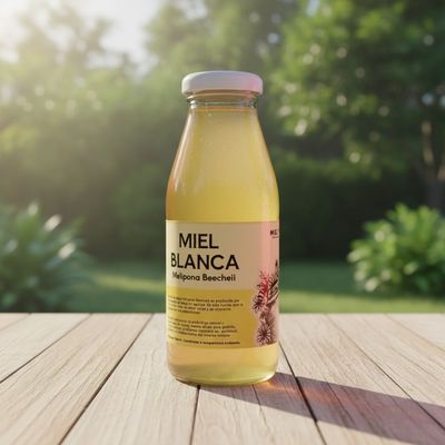 Miel de Abeja Melipona Beecheii (Miel Blanca) - 250 ml