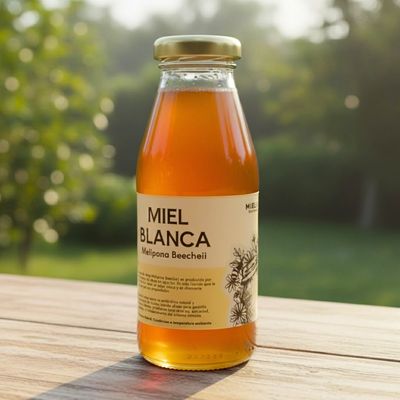 Miel de Abeja Melipona Beecheii (Miel Blanca) - 250 ml