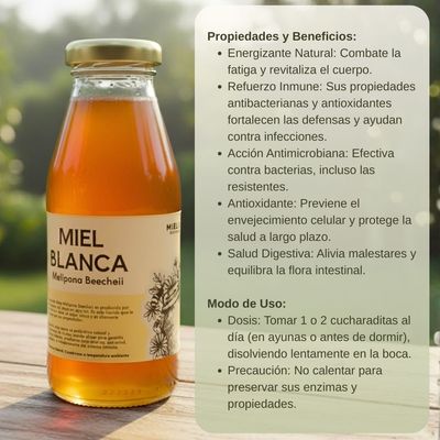 Miel de Abeja Melipona Beecheii (Miel Blanca) - 250 ml